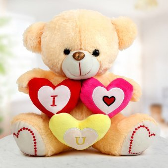 Teddy